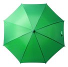 Зонт зеленый