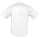 Рубашка мужская BRISBANE 130, белая