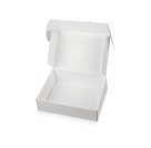 Коробка подарочная «Zand» XL, белый